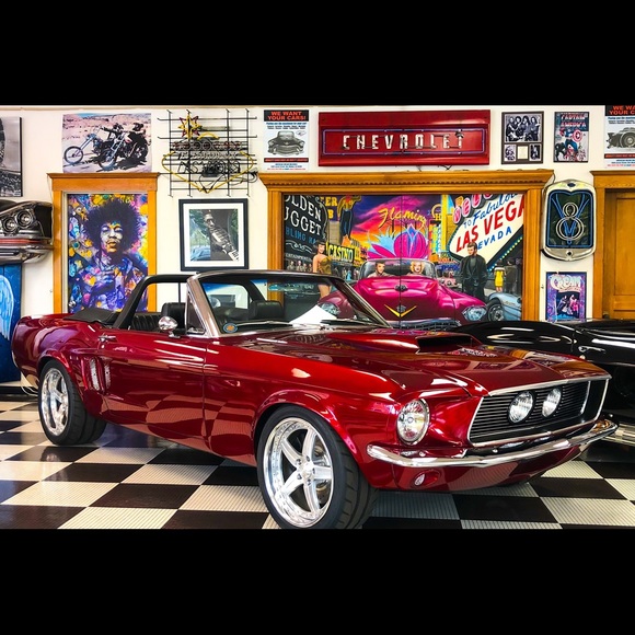 Meet your Posher, Max - Picture 1 of 1